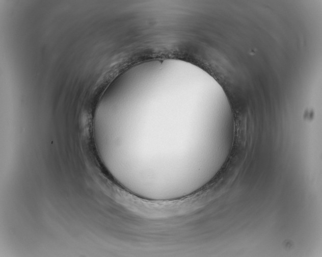 X0000093510038200710261207