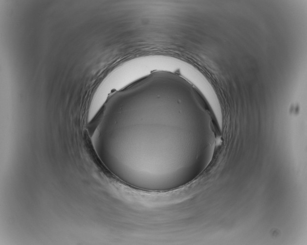 X0000093510039200710261207