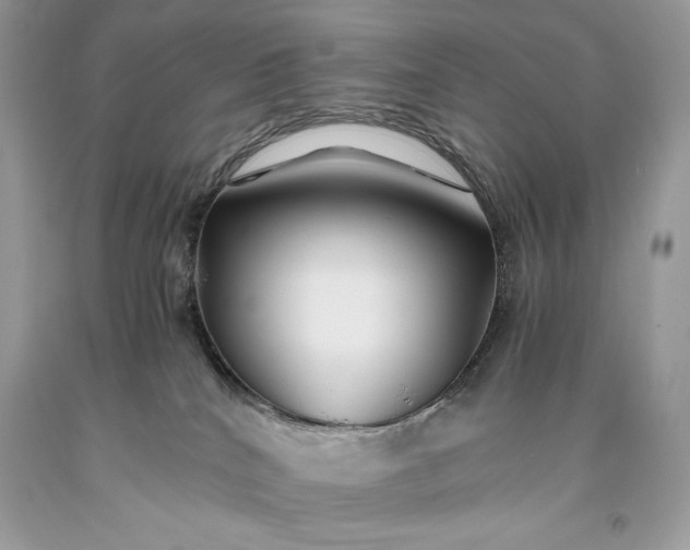 X0000093510040200710261207