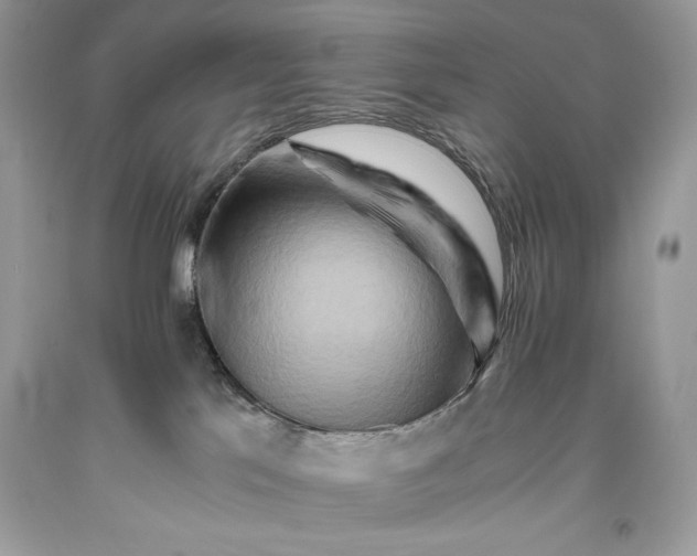 X0000093510041200710261207