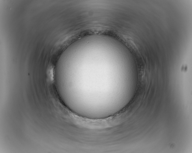 X0000093510042200710261207