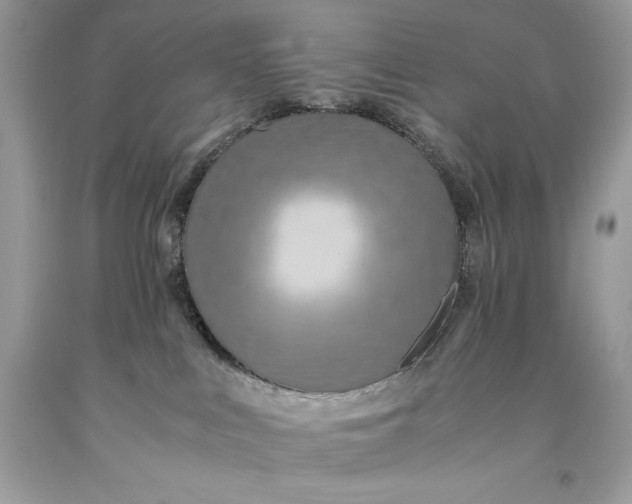 X0000093510043200710261207