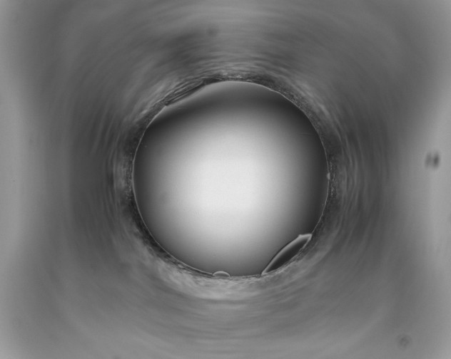 X0000093510044200710261207