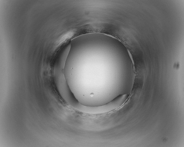 X0000093510045200710261207