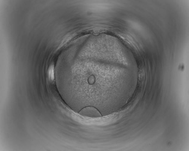 X0000093510046200710261207