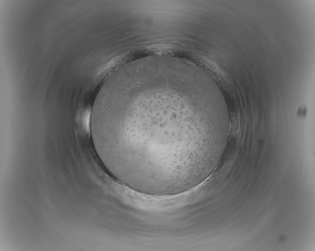 X0000093510047200710261207