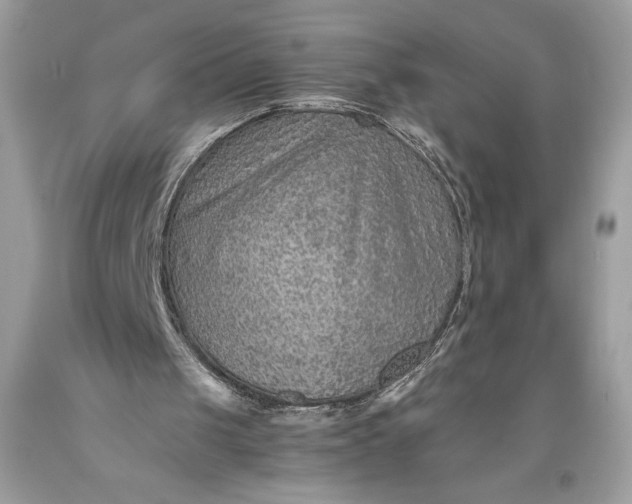 X0000093510049200710261206