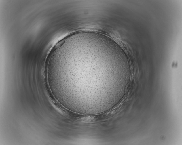 X0000093510050200710261206