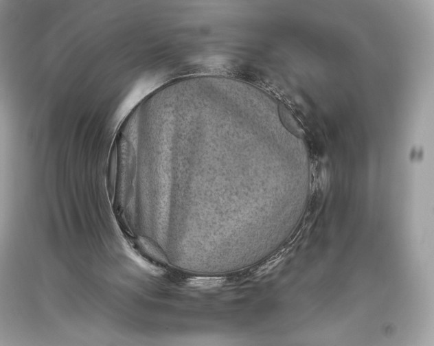 X0000093510051200710261206