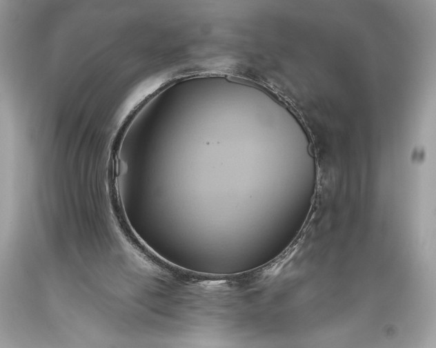 X0000093510054200710261206