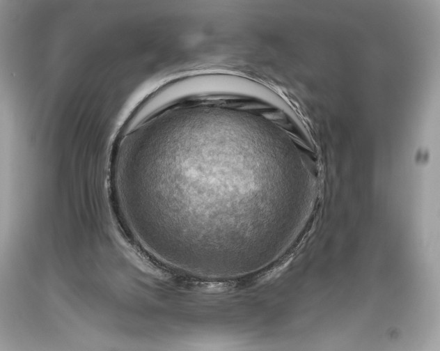 X0000093510056200710261206