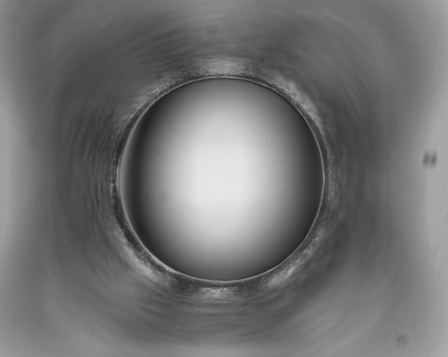 X0000093510057200710261206