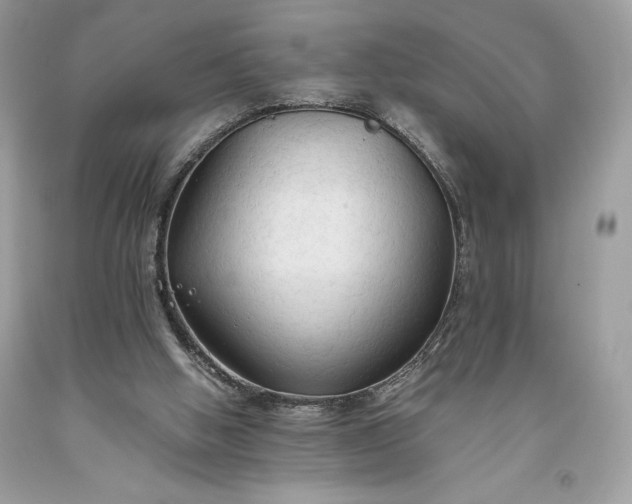 X0000093510058200710261206