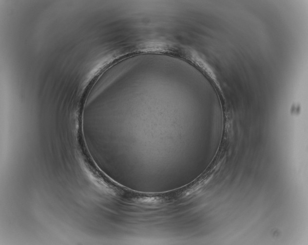 X0000093510059200710261206