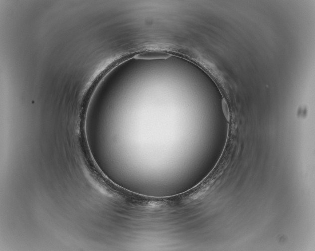 X0000093510060200710261206