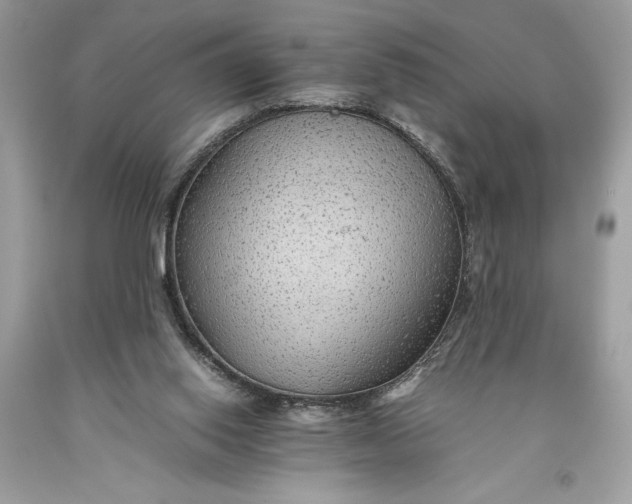 X0000093510062200710261206