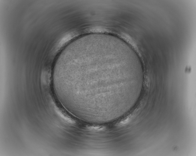 X0000093510063200710261207