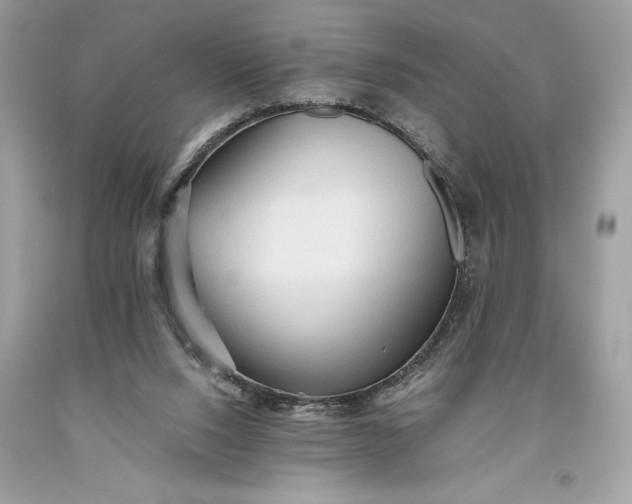 X0000093510064200710261207