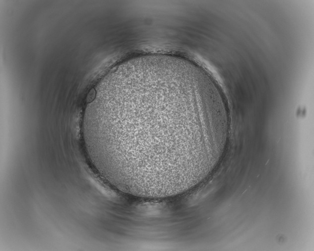 X0000093510065200710261207