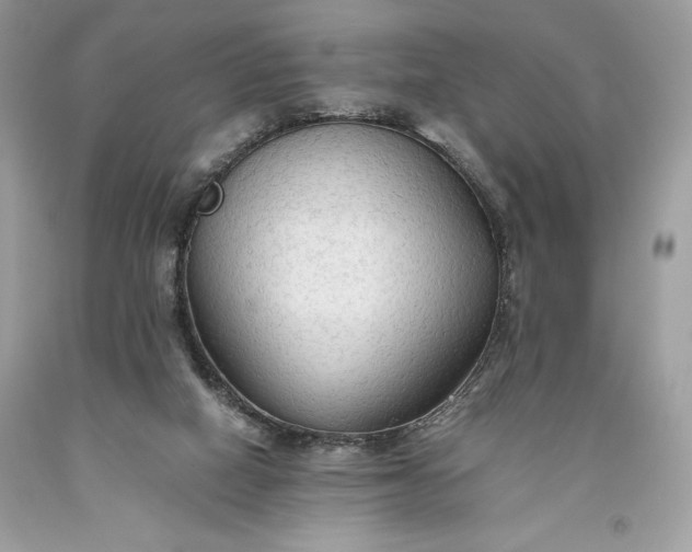 X0000093510066200710261207