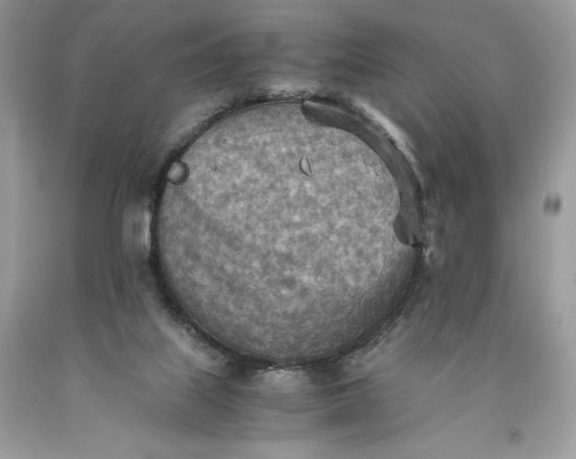 X0000093510067200710261207