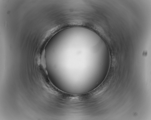 X0000093510068200710261207