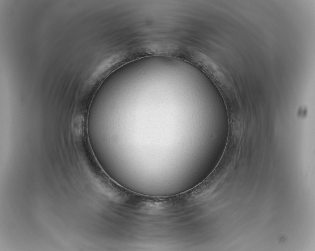 X0000093510071200710261207