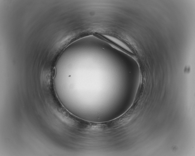 X0000093510072200710261207