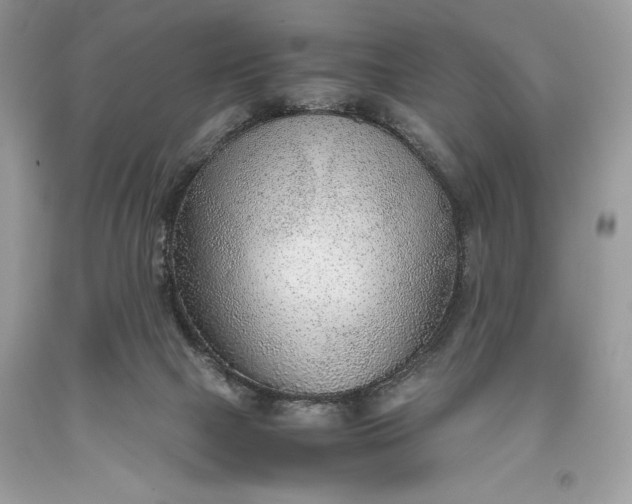 X0000093510073200710261207