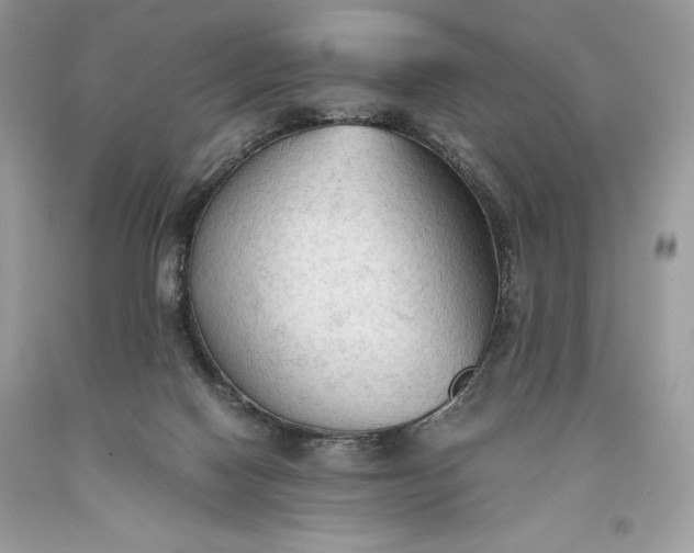 X0000093510074200710261207