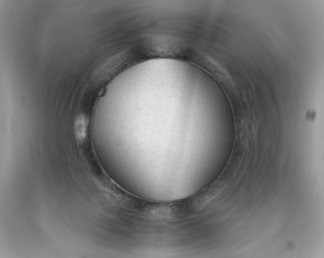 X0000093510075200710261207