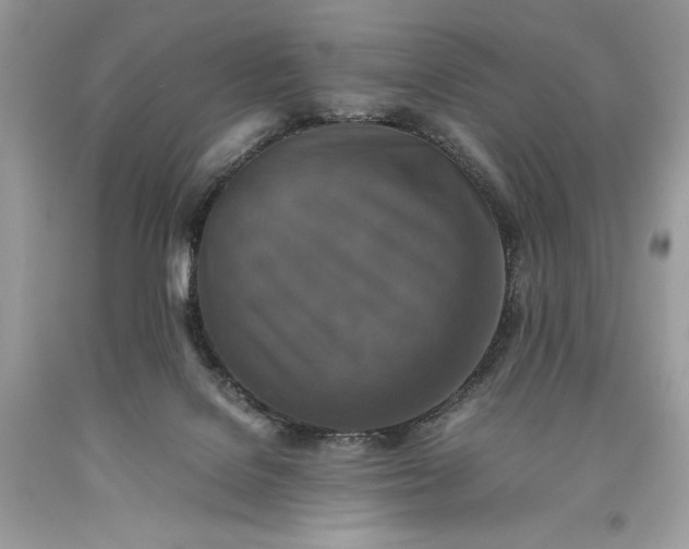 X0000093510076200710261207