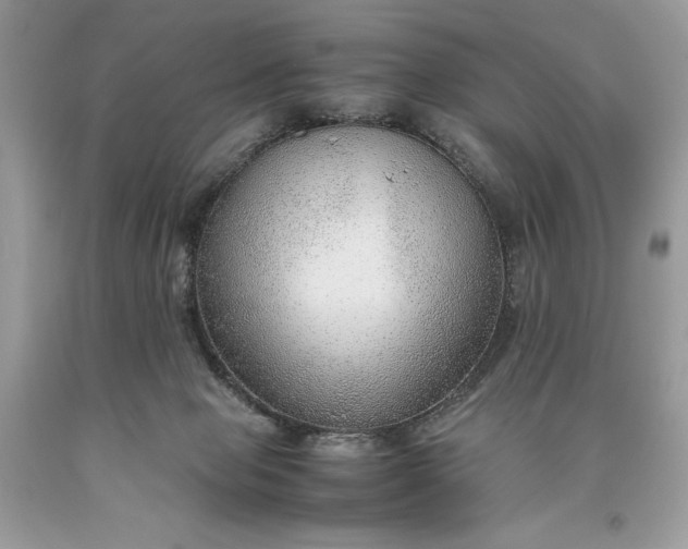 X0000093510077200710261207