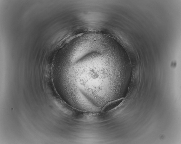 X0000093510078200710261207