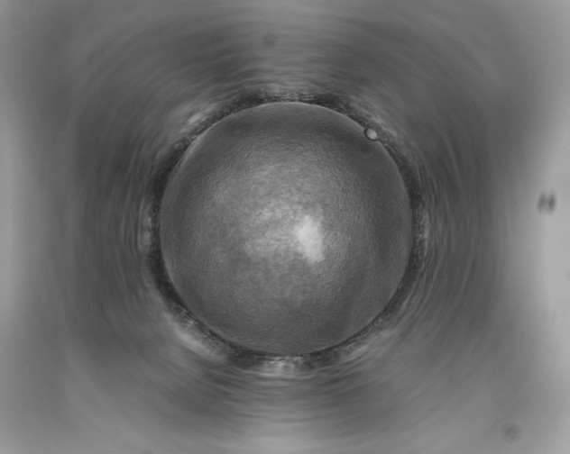 X0000093510080200710261207