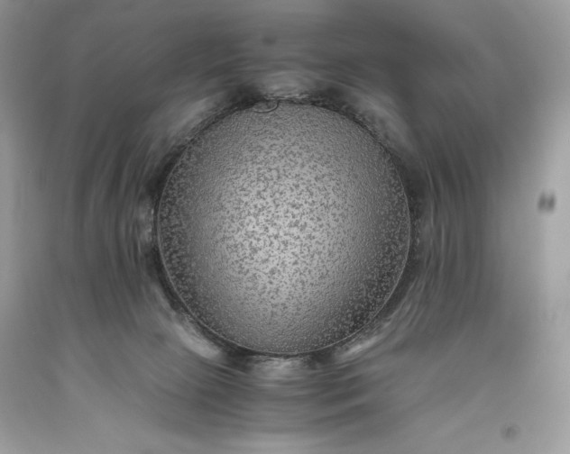 X0000093510081200710261207