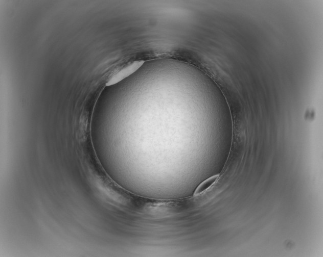 X0000093510082200710261207