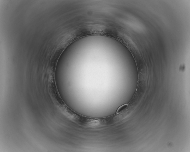 X0000093510083200710261207