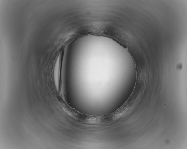 X0000093510084200710261207