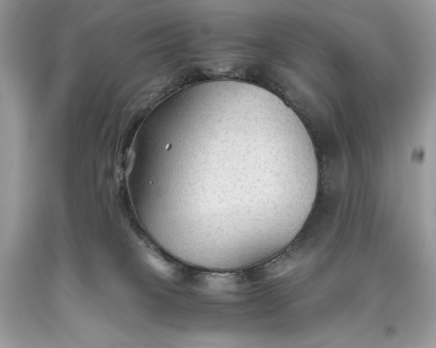 X0000093510085200710261207