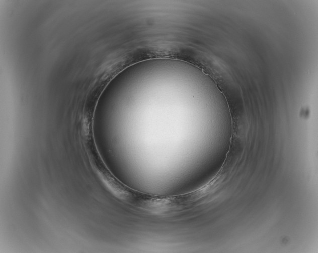 X0000093510086200710261207