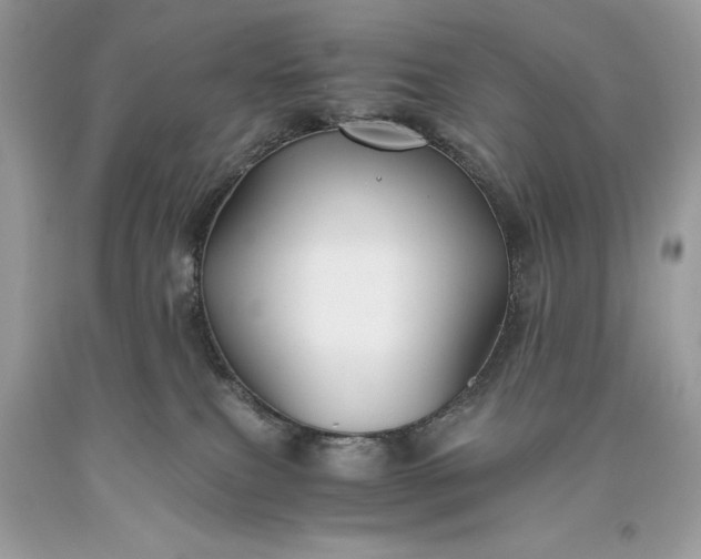 X0000093510087200710261207