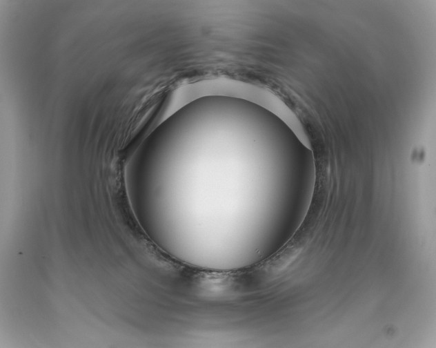 X0000093510088200710261207