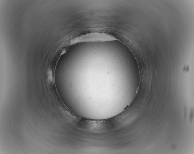 X0000093510089200710261207