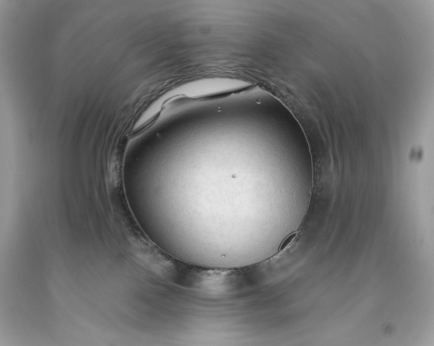 X0000093510090200710261207