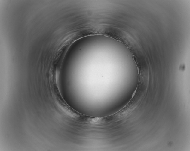 X0000093510092200710261207