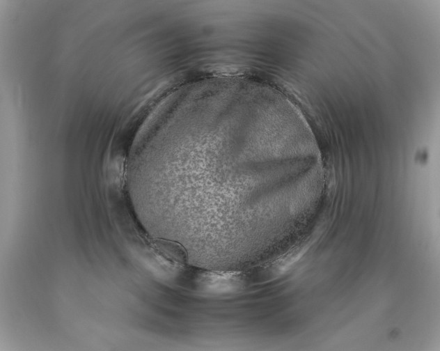 X0000093510093200710261207