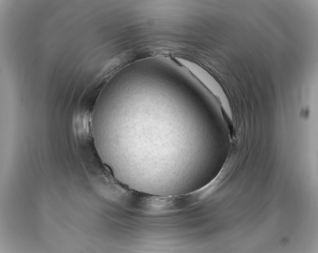 X0000093510094200710261207