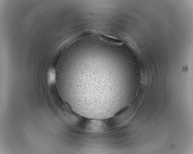 X0000093510095200710261207