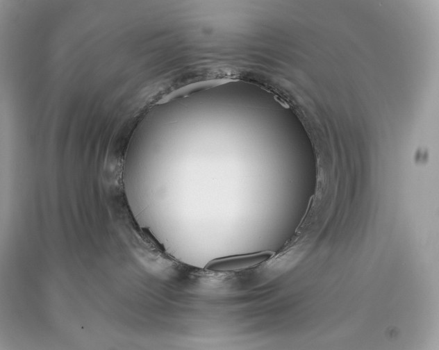 X0000093510096200710261207